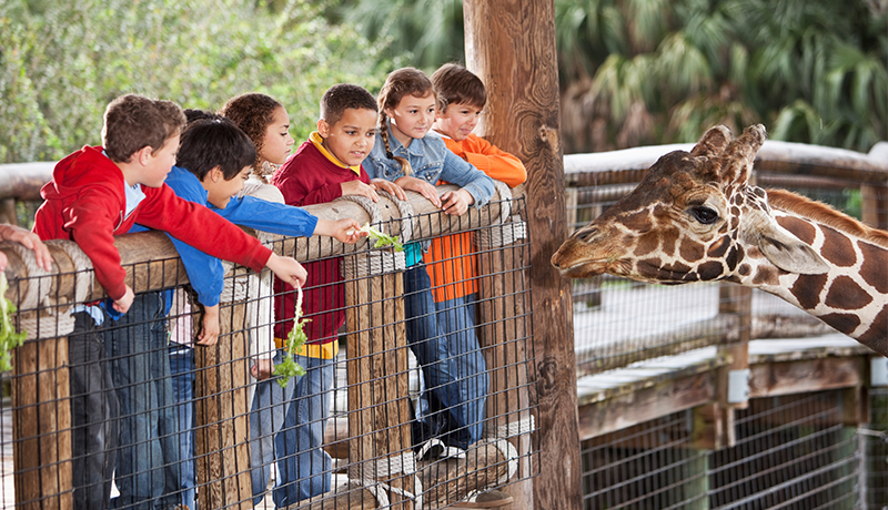 hi-competence-spende-zoo